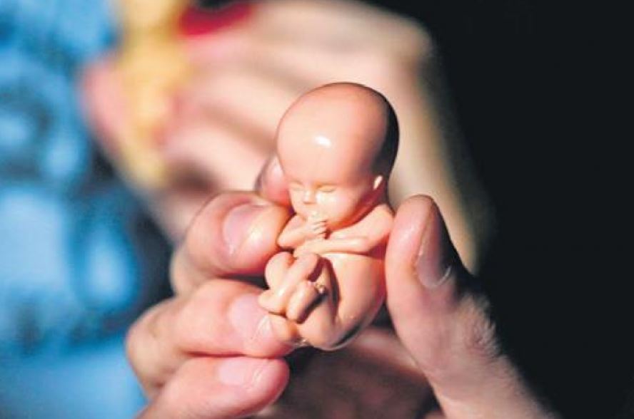 Anne Karnında Bebek Ölürse Nasıl Anlaşılır