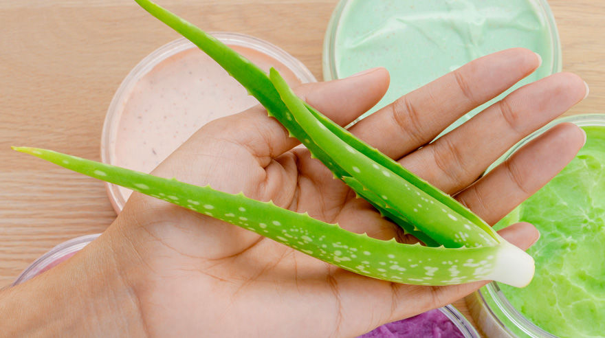 Aloe Vera Neye Nelere İyi Gelir?